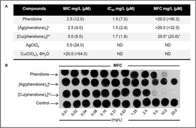 1,10-Phenanthroline-5,6-Dione–Based Compounds Are Effective in Disturbing Crucial Physiological Events of Phialophora verrucosa